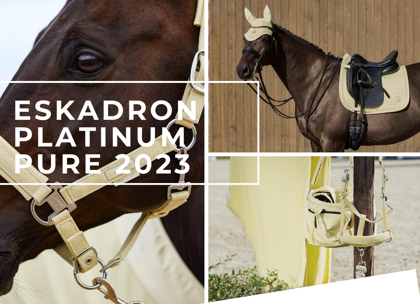 Eskadron Platinum Pure SS 2023