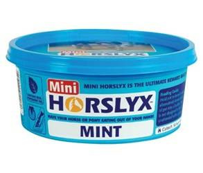 Lizawka mini Mint 650g HORSLYX