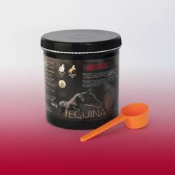 Suplement na stawy  Equina Artisol 900g  NUVENA