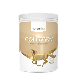 Kolagen 800g HORSELINEPRO