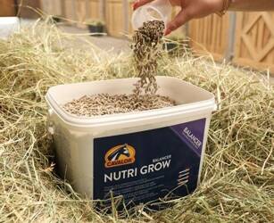 Witaminy NUTRI GROW 5kg CAVALOR