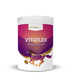 Witaminy Vitaflex 2kg HORSELINEPRO