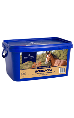 Echinacea 1kg D&H