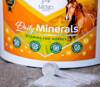 Witaminy DAILY MINERALS 8kg MEBIO